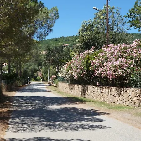 Vue Corse