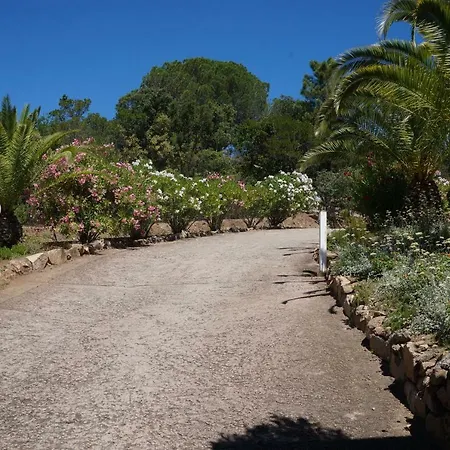 Vue Corse * קונקה
