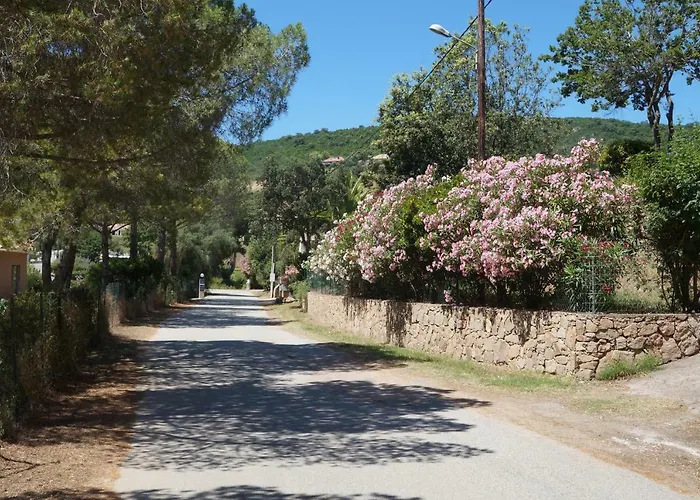 Vue Corse
